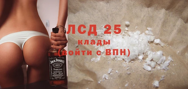 гидра Богородск