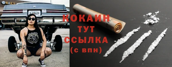 гидра Богородск