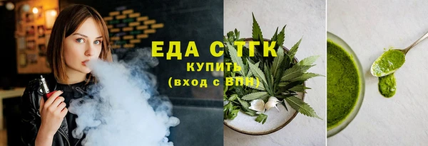 гидра Богородск