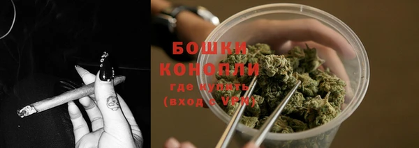 гидра Богородск