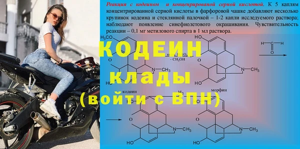 гидра Богородск