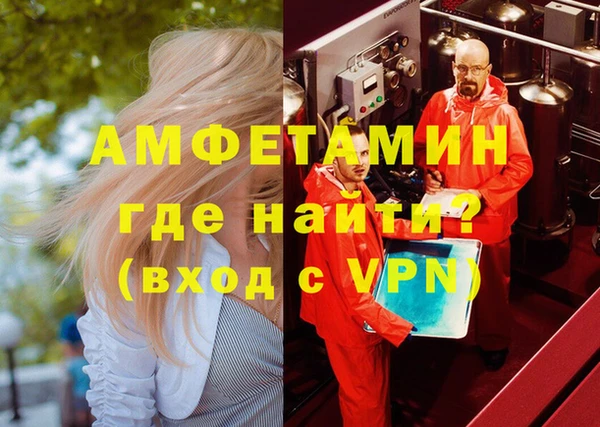 гидра Богородск