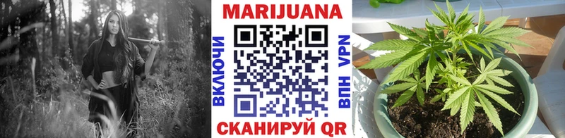 Бошки марихуана планчик  Кировград 